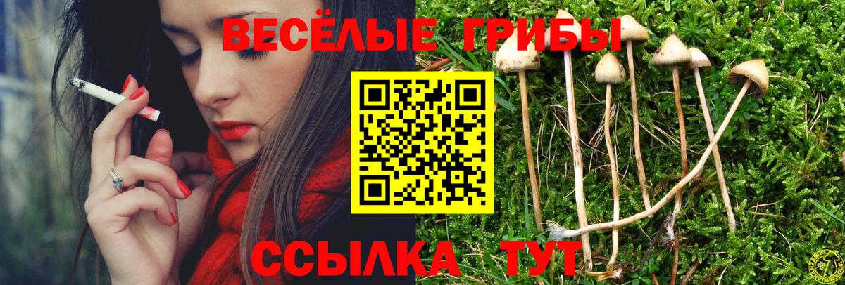Псилоцибиновые грибы GOLDEN TEACHER  Псилоцибиновые грибы мицелий  Вход с VPN  Кинель 